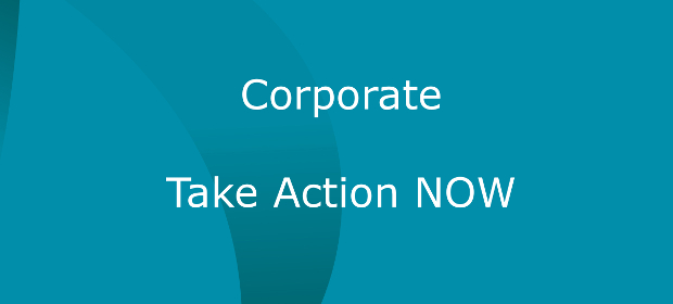 Read more about the article Corporate Strategy:  Take Action Now